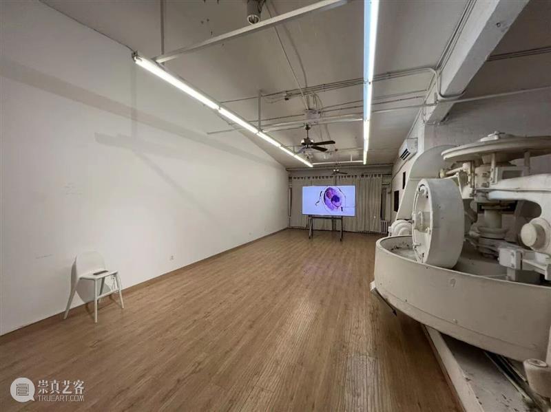 开幕现场|王郁洋 项目 Wang Yuyang works/798·蔡锦空间 崇真艺客