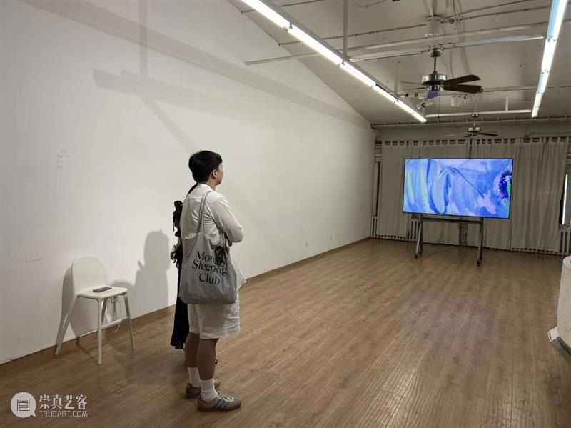 开幕现场|王郁洋 项目 Wang Yuyang works/798·蔡锦空间 崇真艺客