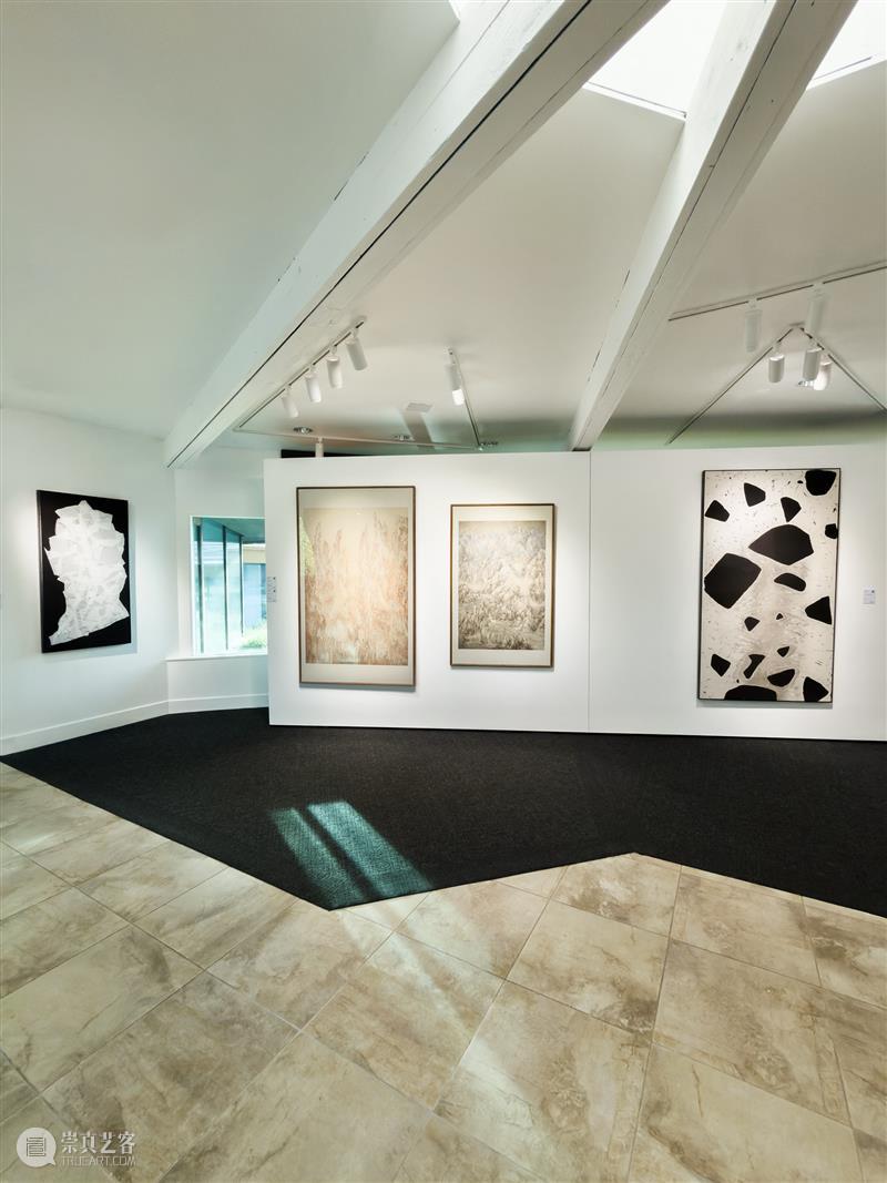 蓝骑士星舰｜洛杉矶 策展论述《Ink Reborn》墨?生 — 7 Narratives of Contemporary Chinese Ink 崇真艺客