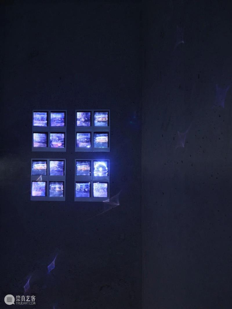 StairCASE展评|从“针孔”到“屏幕”:安宁作品《龟壳》中的观看、隐私与延迟相遇 崇真艺客