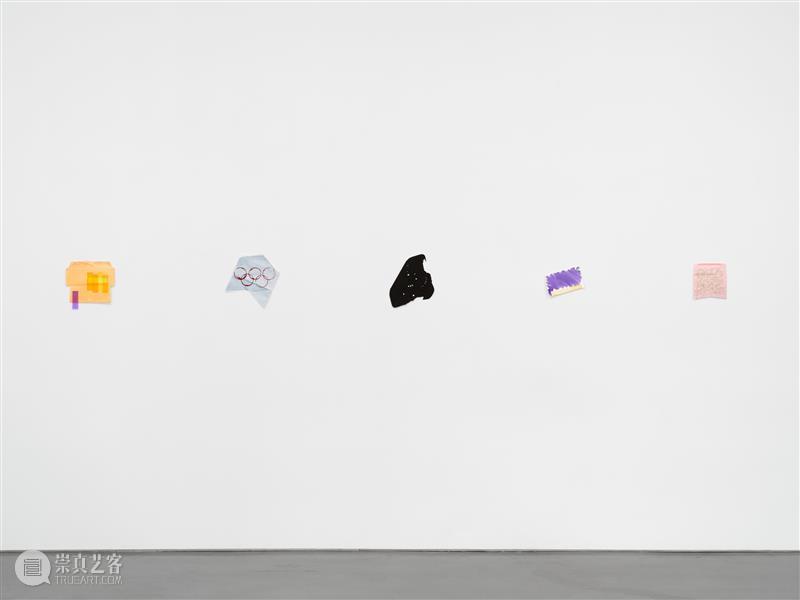 正在展出 | 里森洛杉矶 | 斯宾塞·芬奇（Spencer Finch）个展“Balboa of House and Garden” 崇真艺客