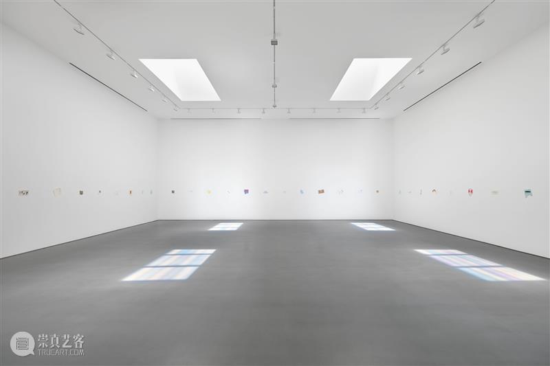 正在展出 | 里森洛杉矶 | 斯宾塞·芬奇（Spencer Finch）个展“Balboa of House and Garden” 崇真艺客