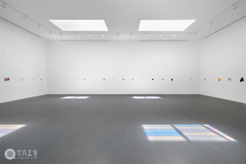 正在展出 | 里森洛杉矶 | 斯宾塞·芬奇（Spencer Finch）个展“Balboa of House and Garden” 崇真艺客
