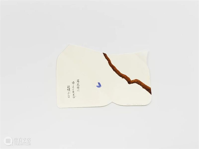 正在展出 | 里森洛杉矶 | 斯宾塞·芬奇（Spencer Finch）个展“Balboa of House and Garden” 崇真艺客