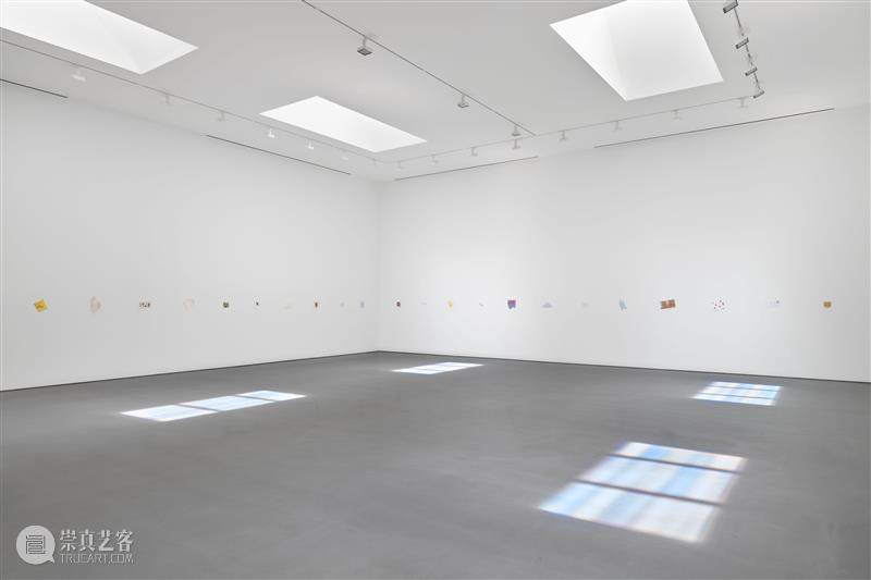 正在展出 | 里森洛杉矶 | 斯宾塞·芬奇（Spencer Finch）个展“Balboa of House and Garden” 崇真艺客