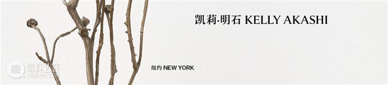 正在展出 | 里森洛杉矶 | 斯宾塞·芬奇（Spencer Finch）个展“Balboa of House and Garden” 崇真艺客