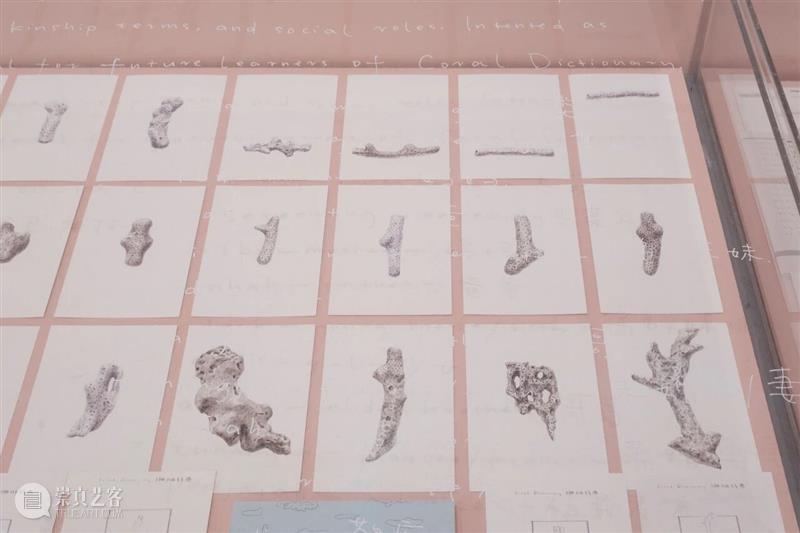 现场｜常羽辰：一本辞典、一台织布机、一篇宣言、…｜纽约Printed Matter 崇真艺客