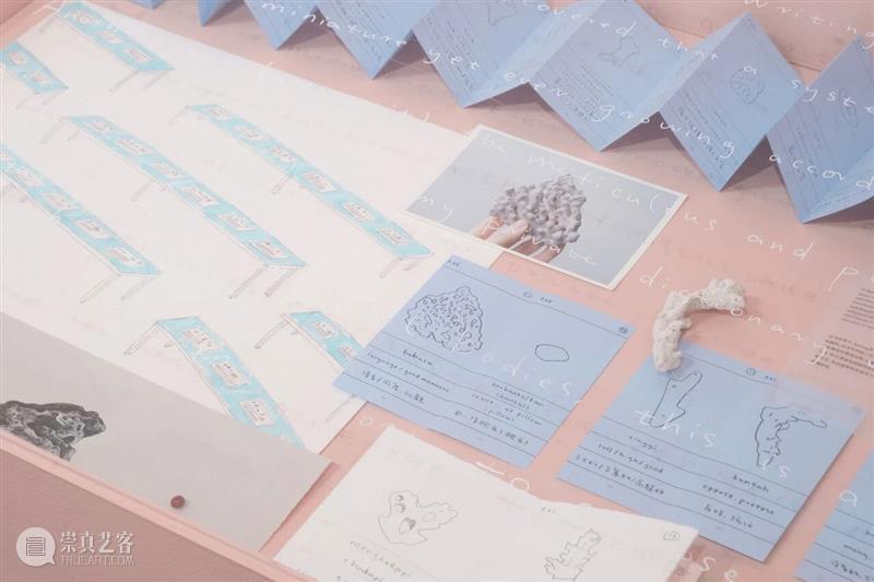 现场｜常羽辰：一本辞典、一台织布机、一篇宣言、…｜纽约Printed Matter 崇真艺客