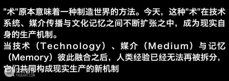 TANK 新展｜祝金坤、张楠、张听：术 TechDiumMory 崇真艺客
