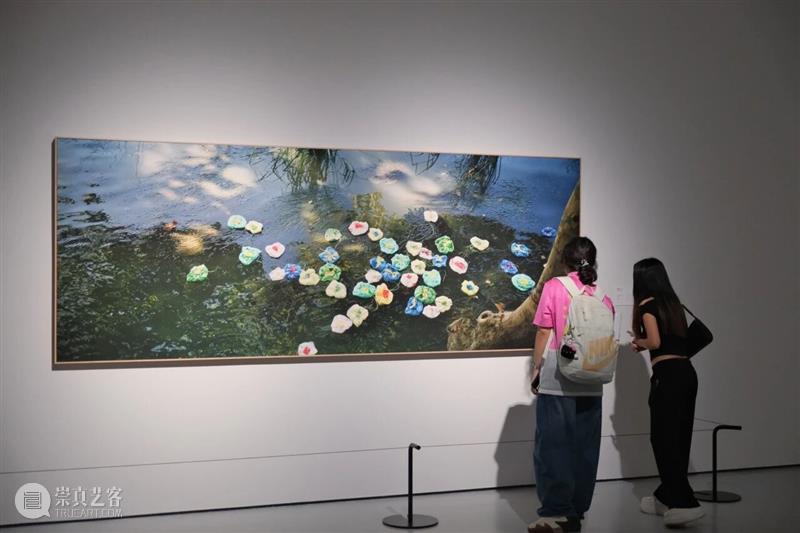 艺术陪你过暑假 | 美术馆的日夜景：用两种节奏，走进风景与想象之间 崇真艺客