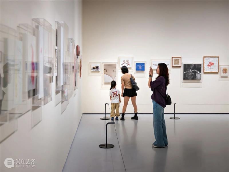 艺术陪你过暑假！广东美术馆7月和8月观展手册 崇真艺客