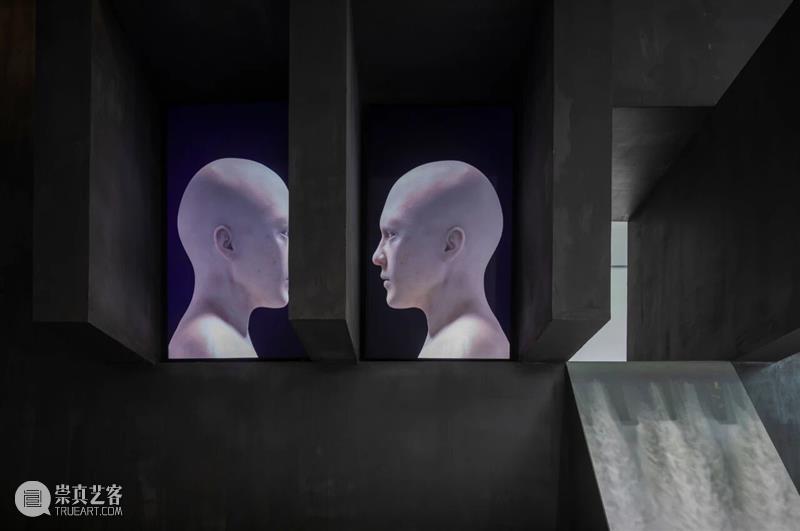 START“放映计划 III” 对话蒲英玮|动画与AI创作幕后 崇真艺客