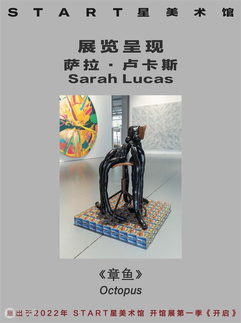 START展览杰作｜萨拉·卢卡斯 崇真艺客