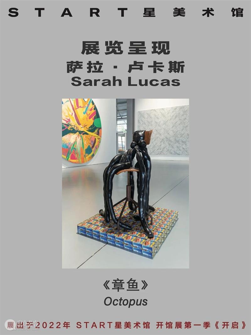 START展览杰作｜萨拉·卢卡斯 崇真艺客