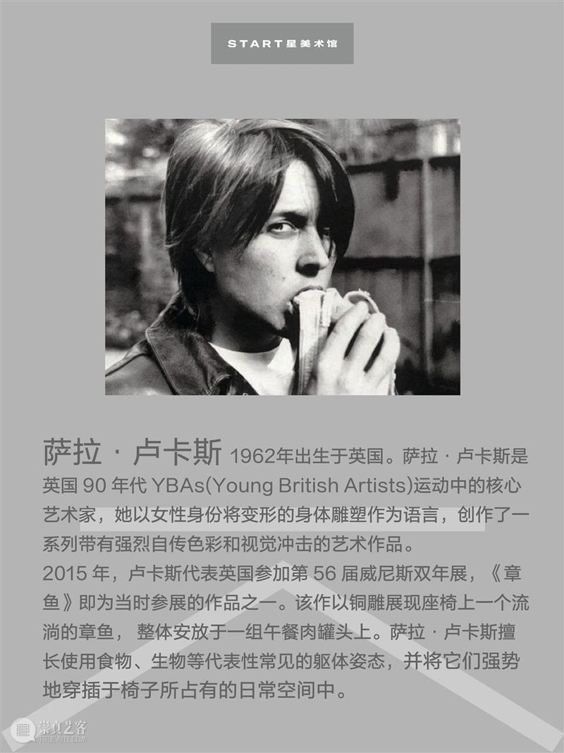 START展览杰作｜萨拉·卢卡斯 崇真艺客