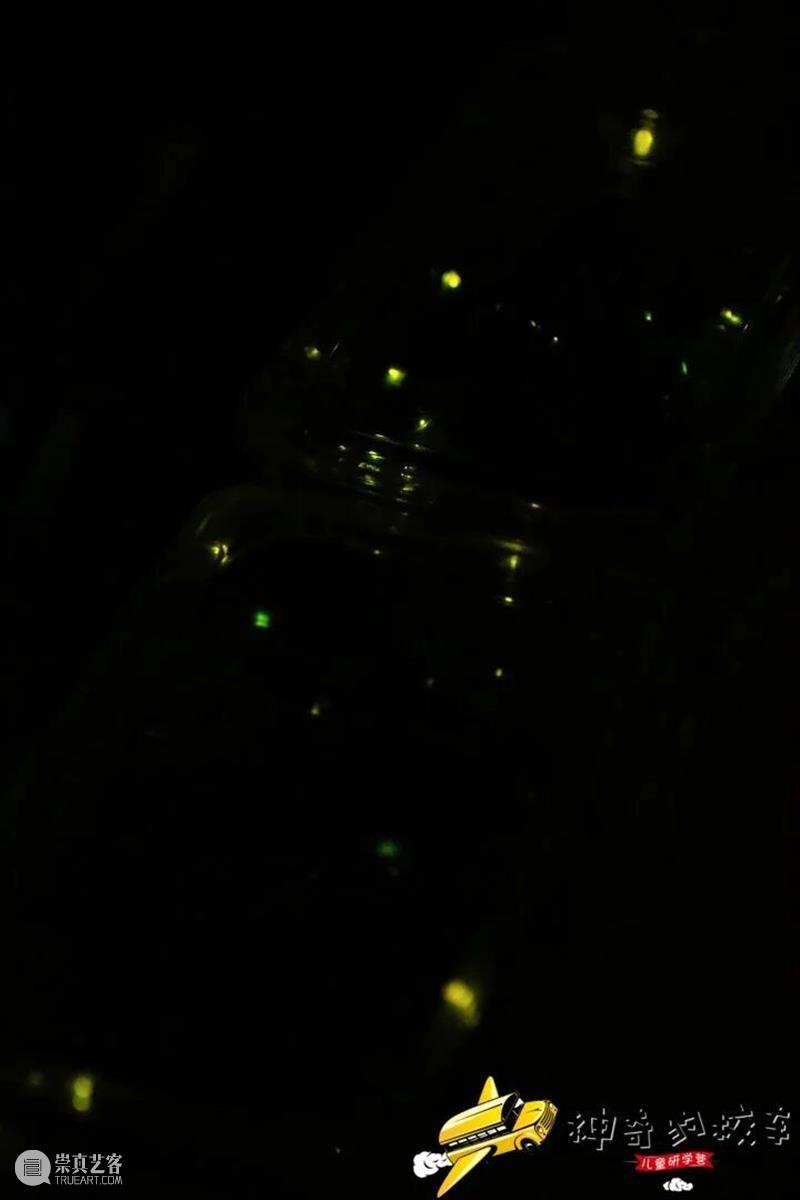 夏日山野计划｜神奇校车济南溯溪研学，踏溪而行，自在成长 崇真艺客