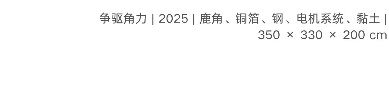 偏锋 艺术家｜「我，AI，人类学?」参展艺术家 李松泽 崇真艺客