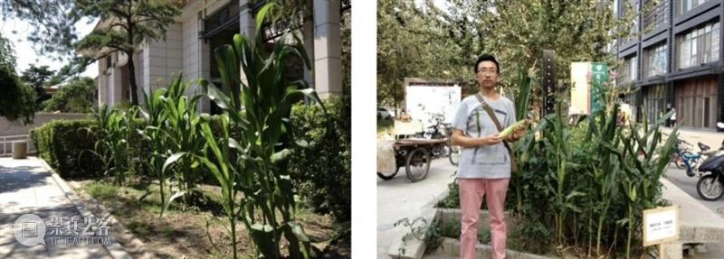 爬坡小组展览对谈 | 忘掉方法论才是真正实验的开始 崇真艺客