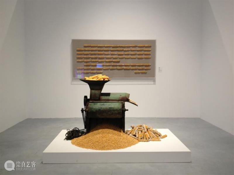 爬坡小组展览对谈 | 忘掉方法论才是真正实验的开始 崇真艺客