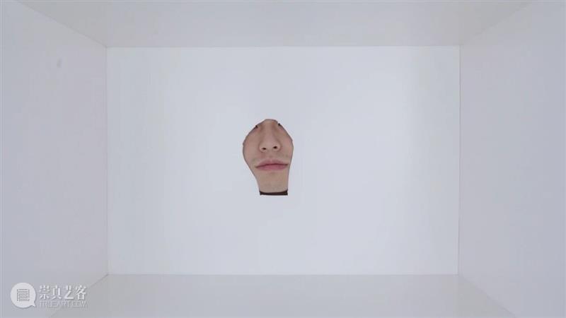 柳浪闻莺艺术驻留（OSWAR）｜徐立霜：“人才市场”驻留工作回顾 崇真艺客