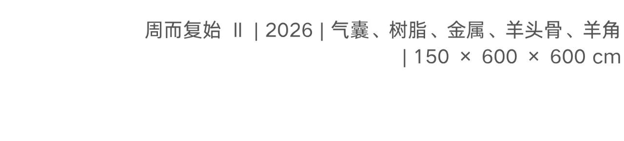 偏锋 艺术家｜「我，AI，人类学?」参展艺术家 鲁艺冉 崇真艺客