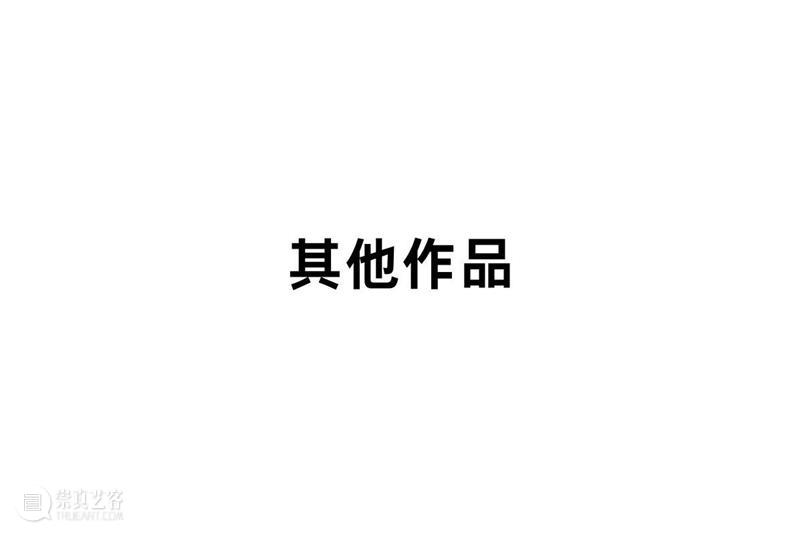 偏锋 艺术家｜「我，AI，人类学?」参展艺术家 鲁艺冉 崇真艺客