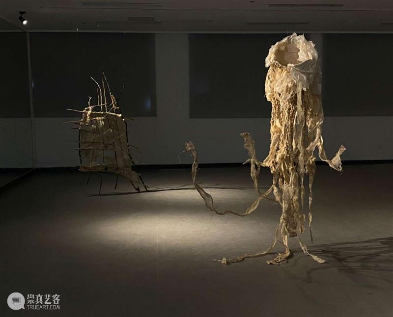 偏锋 艺术家｜「我，AI，人类学?」参展艺术家 鲁艺冉 崇真艺客