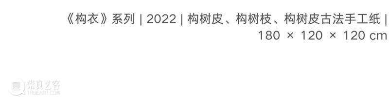 偏锋 艺术家｜「我，AI，人类学?」参展艺术家 鲁艺冉 崇真艺客
