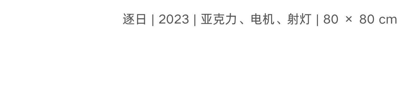 偏锋 艺术家｜「我，AI，人类学?」参展艺术家 鲁艺冉 崇真艺客