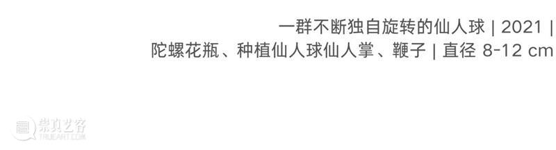 偏锋 艺术家｜「我，AI，人类学?」参展艺术家 鲁艺冉 崇真艺客