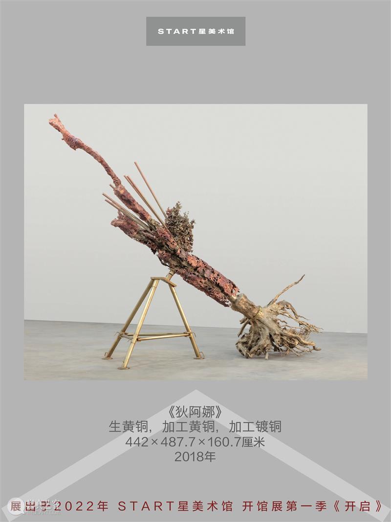 START展览杰作｜马修·巴尼《狄阿娜》 崇真艺客