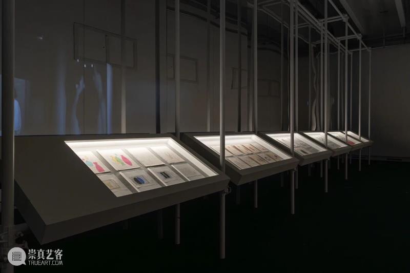 乌雷/玛丽娜·阿布拉莫维奇回顾展“艺术即生命”即将在阿那亚艺术中心北岸馆展出 崇真艺客