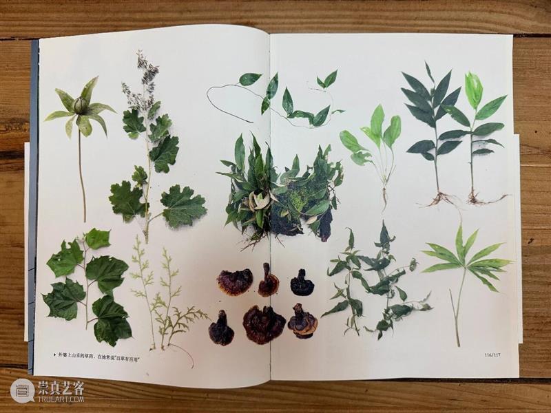 来泥美术馆,一起聊家庭影像创作、翻老照片、写故事 崇真艺客