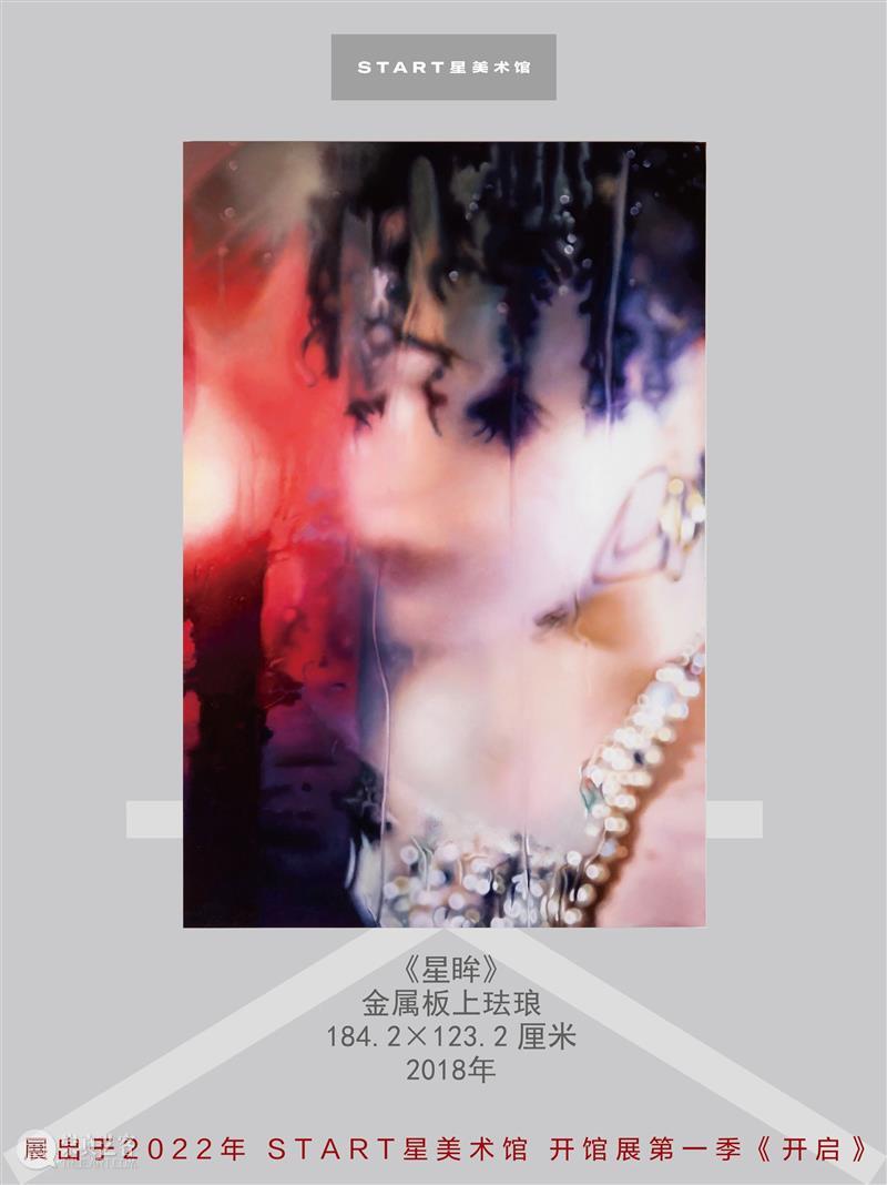 START展览杰作｜玛丽莲·敏特《星眸》 崇真艺客