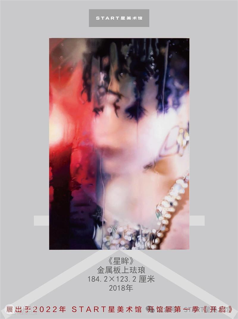 START展览杰作｜玛丽莲·敏特《星眸》 崇真艺客