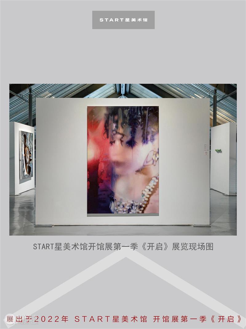 START展览杰作｜玛丽莲·敏特《星眸》 崇真艺客
