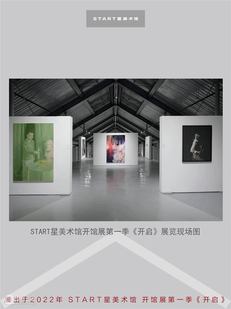START展览杰作｜玛丽莲·敏特《星眸》 崇真艺客