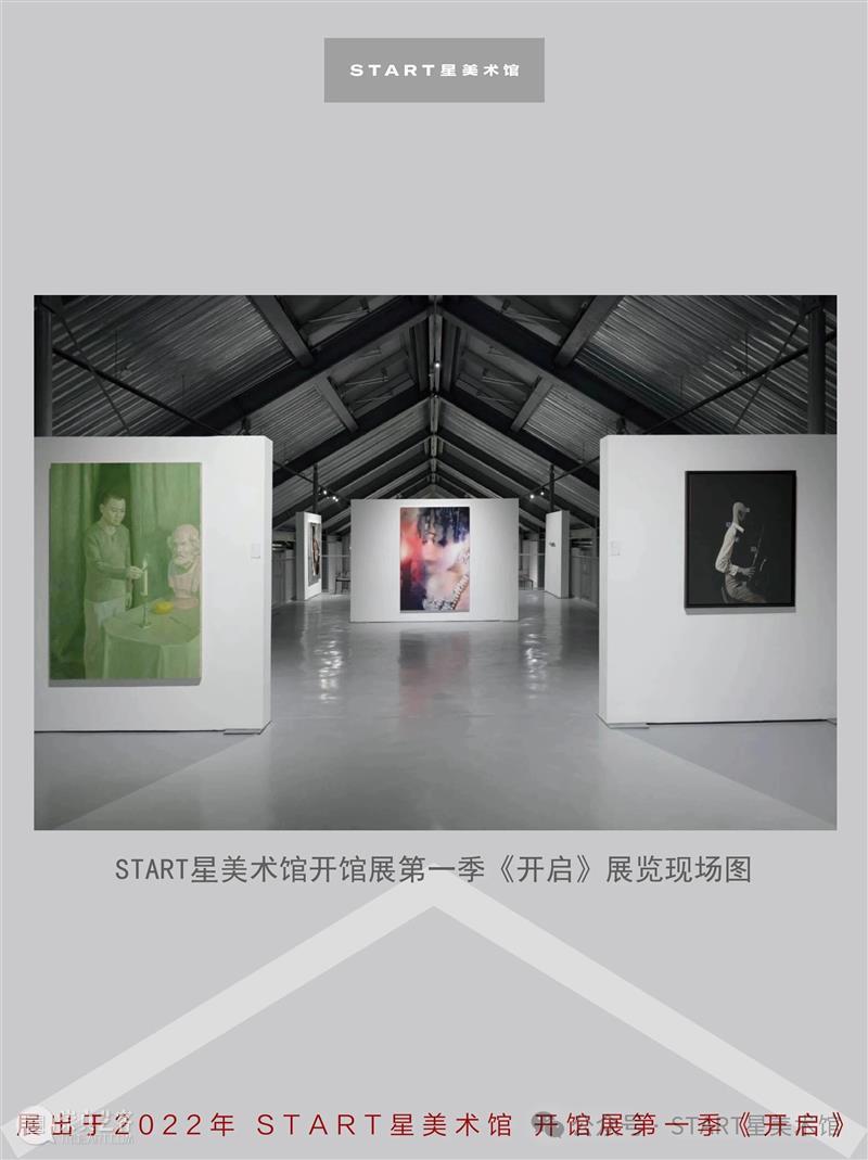 START展览杰作｜玛丽莲·敏特《星眸》 崇真艺客