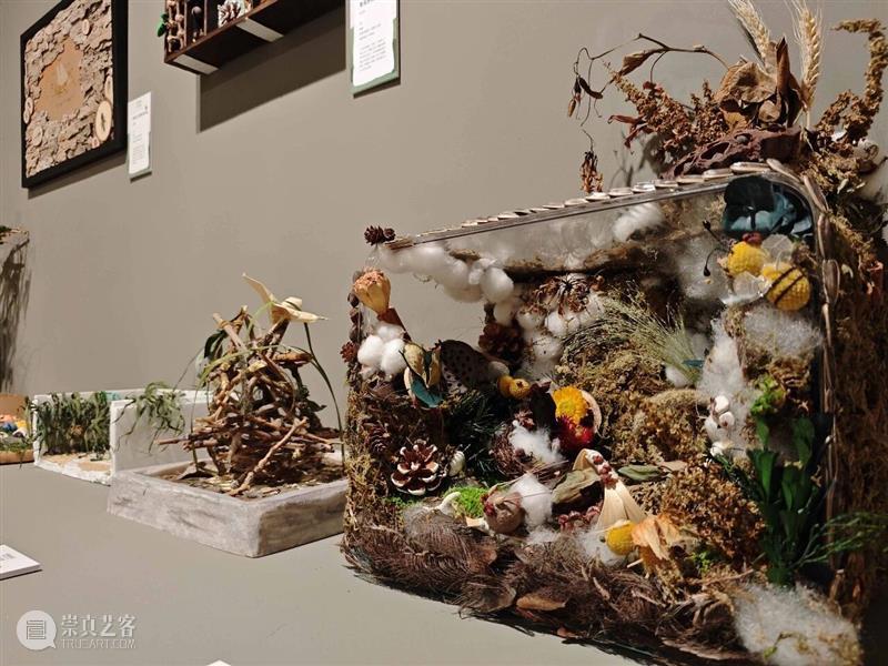 童心作笔,草间问虫——“未来白石美育艺术季·童心童语”展览开展 崇真艺客