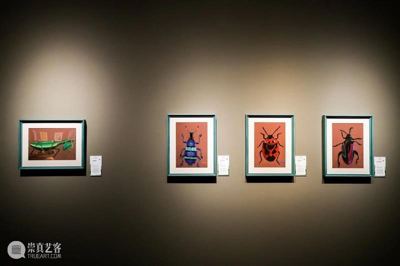 童心作笔,草间问虫——“未来白石美育艺术季·童心童语”展览开展 崇真艺客