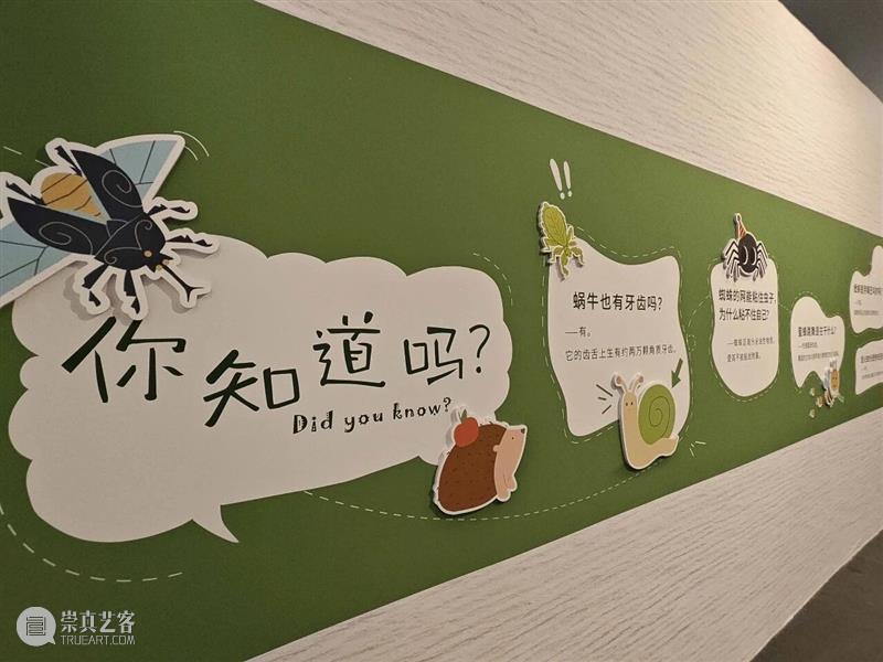 童心作笔,草间问虫——“未来白石美育艺术季·童心童语”展览开展 崇真艺客
