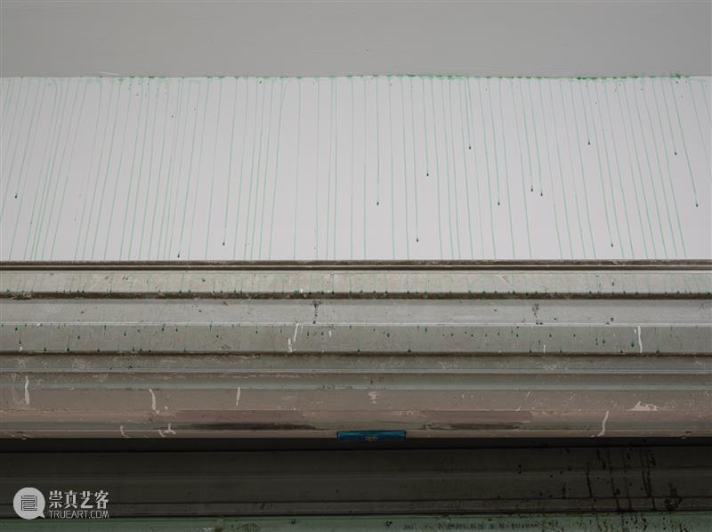 这是现场｜角力：一棵北方的植物在杭州找到了自己也找到了杭州 崇真艺客