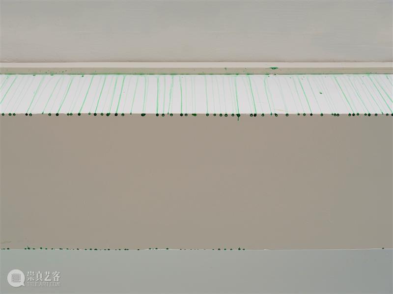 这是现场｜角力：一棵北方的植物在杭州找到了自己也找到了杭州 崇真艺客