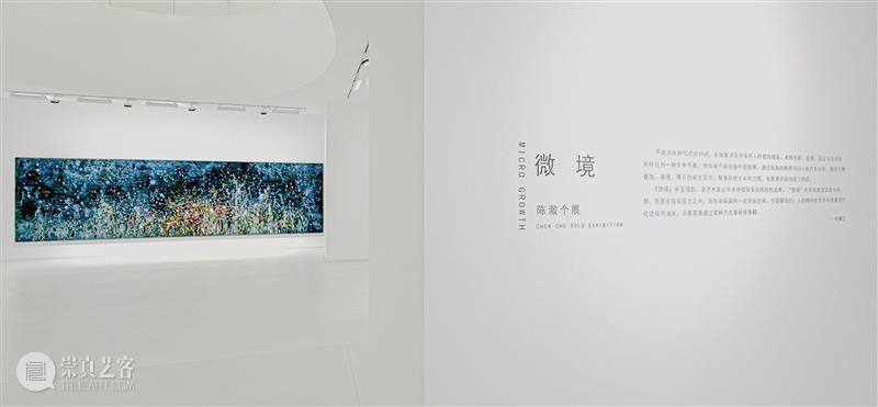 正在进行 In Progress | 从自然图式到内心景观 崇真艺客