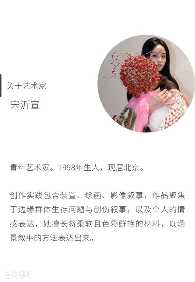 偏锋 艺术家|「我,AI,人类学」参展艺术家 宋沂宣 崇真艺客