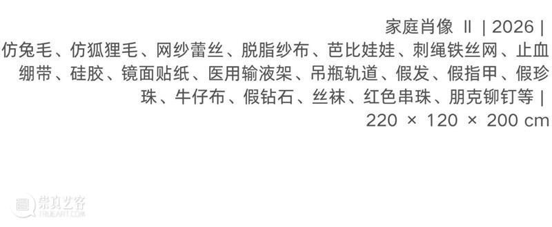 偏锋 艺术家|「我,AI,人类学」参展艺术家 宋沂宣 崇真艺客