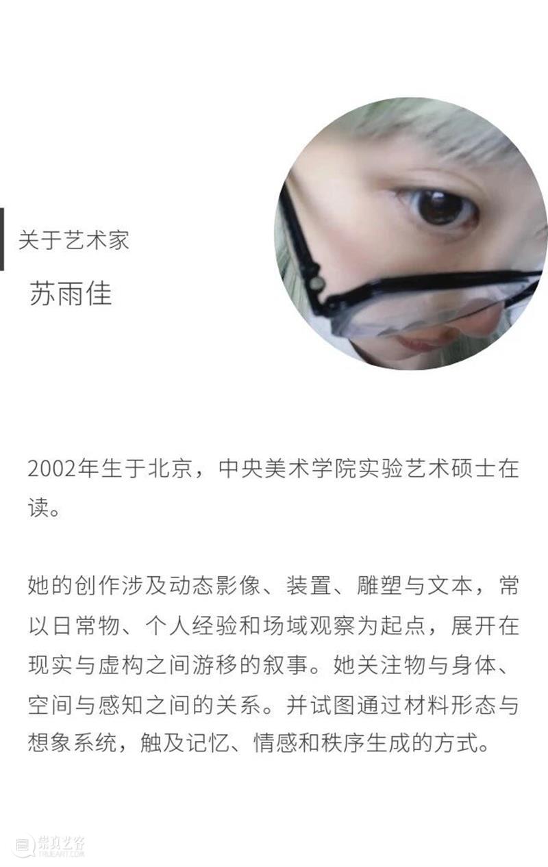 偏锋 艺术家｜「我，AI，人类学」参展艺术家 苏雨佳 崇真艺客
