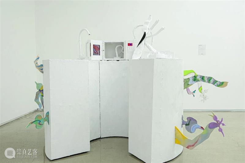 偏锋 艺术家｜「我，AI，人类学」参展艺术家 苏雨佳 崇真艺客