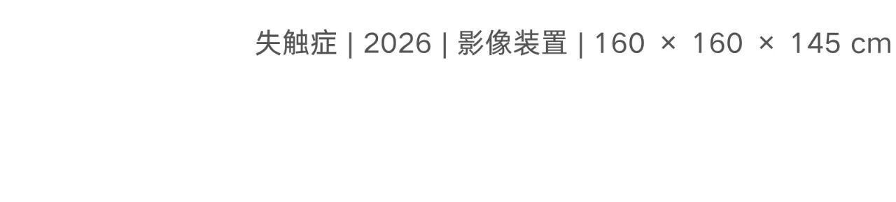 偏锋 艺术家｜「我，AI，人类学」参展艺术家 苏雨佳 崇真艺客