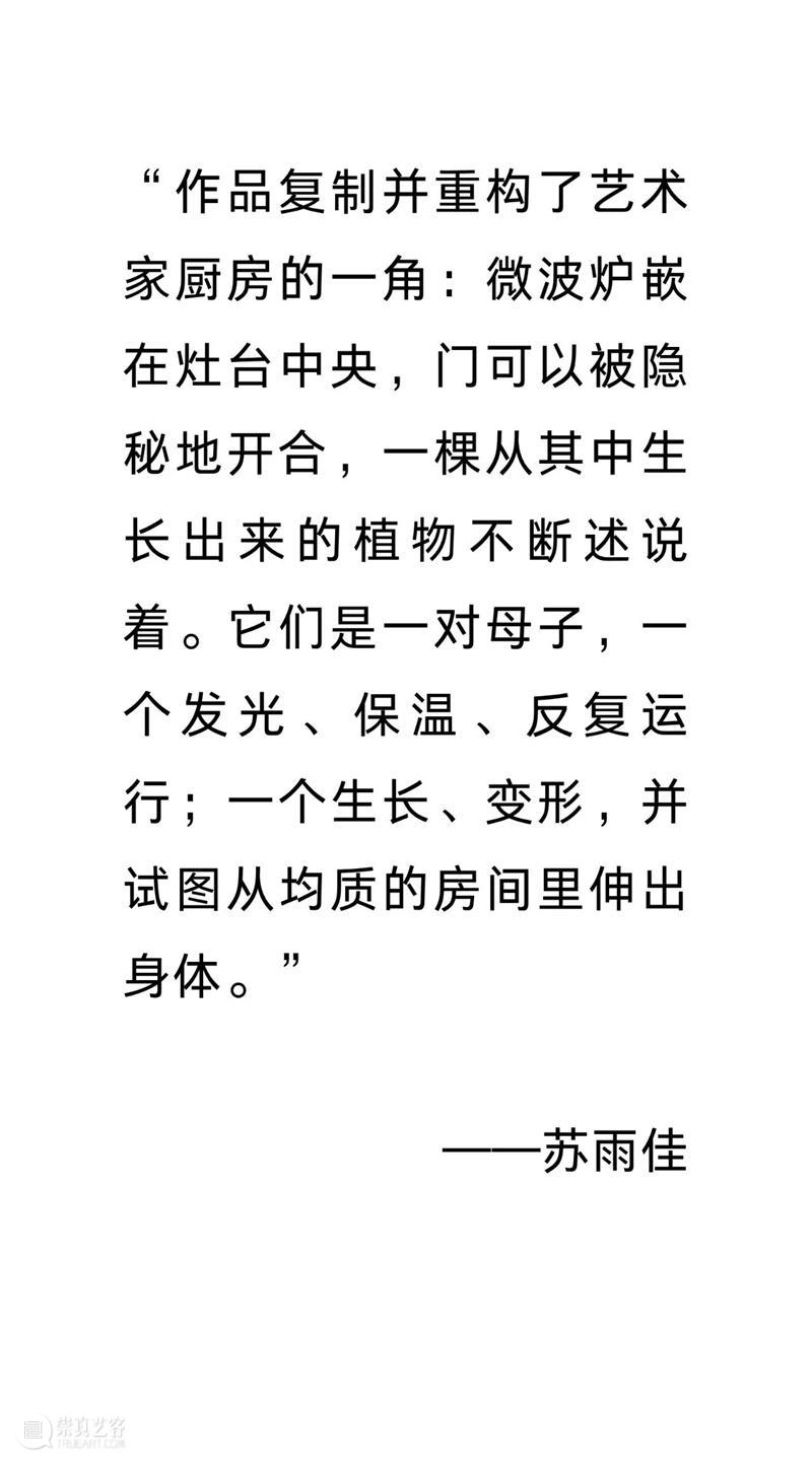 偏锋 艺术家｜「我，AI，人类学」参展艺术家 苏雨佳 崇真艺客